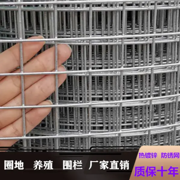 铁丝网热镀锌电焊网玉米网围栏网