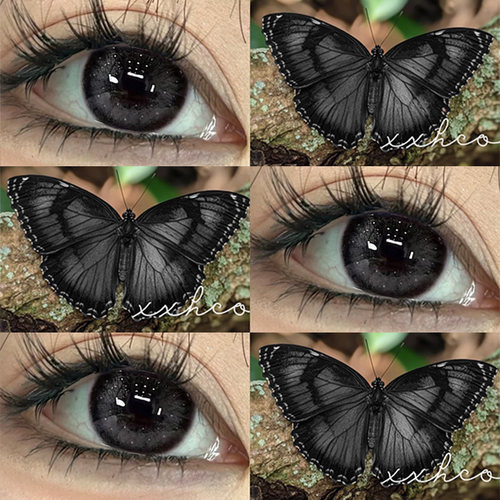 美瞳黑灰色半年抛自然有度数大小直径黑蝴蝶彩色隐形眼镜旗舰店