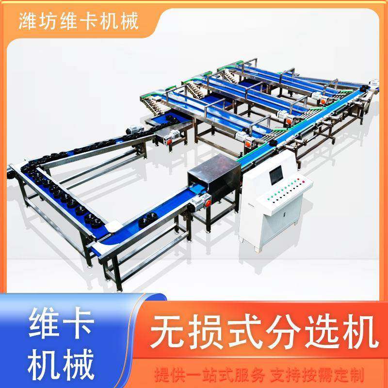 榴莲西瓜选果机 一机多用操作简单 黄金维纳斯苹果分级机分拣机