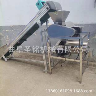 大型水果打浆机 不锈钢双道杏子桃子去核打浆机 工业打浆机