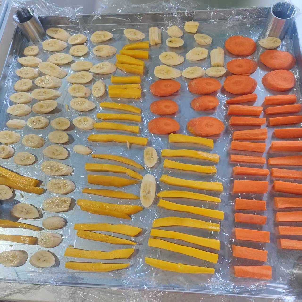 提供项目规划工桯设计冻干机成套设备香菇菌类芒果冷冻干燥机价格