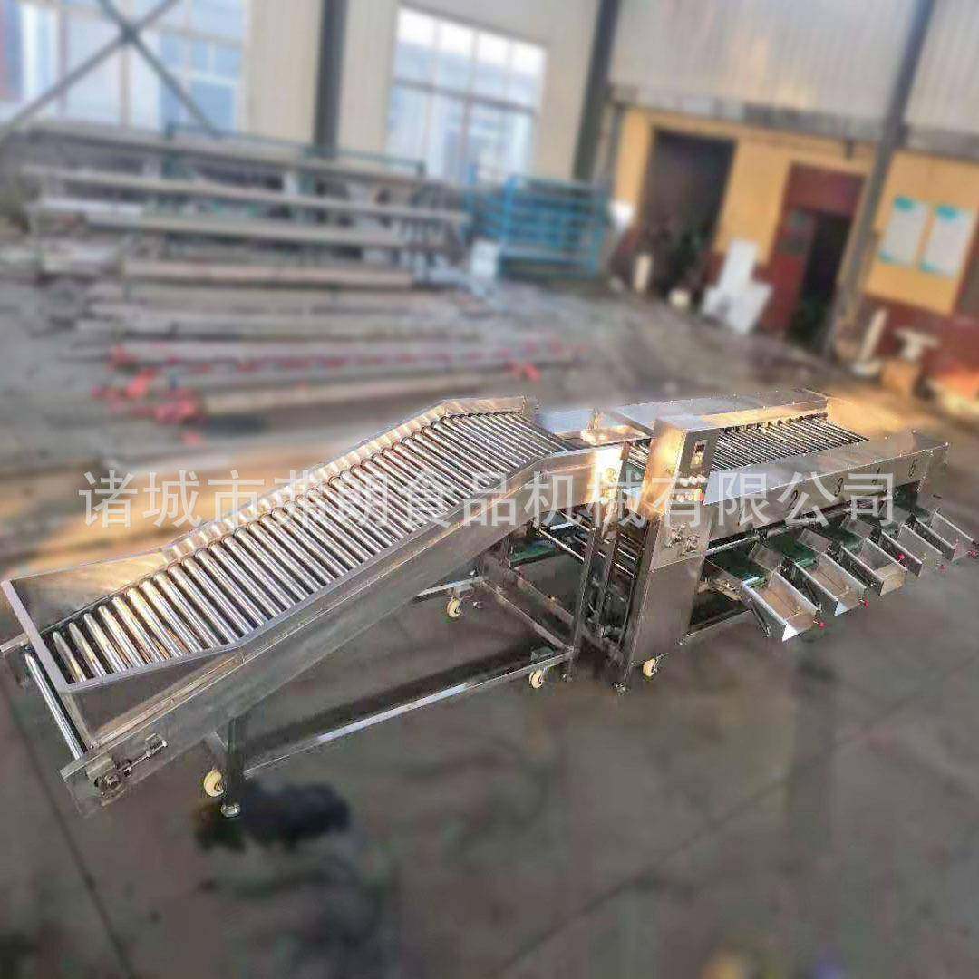 圣女果金枣滚杠分级机 小番茄分级机 源头厂家终身维护尺寸可调,清洗/食品/商业设备,果蔬加工设备,淘宝优惠券,粉丝福利购,淘宝优惠卷