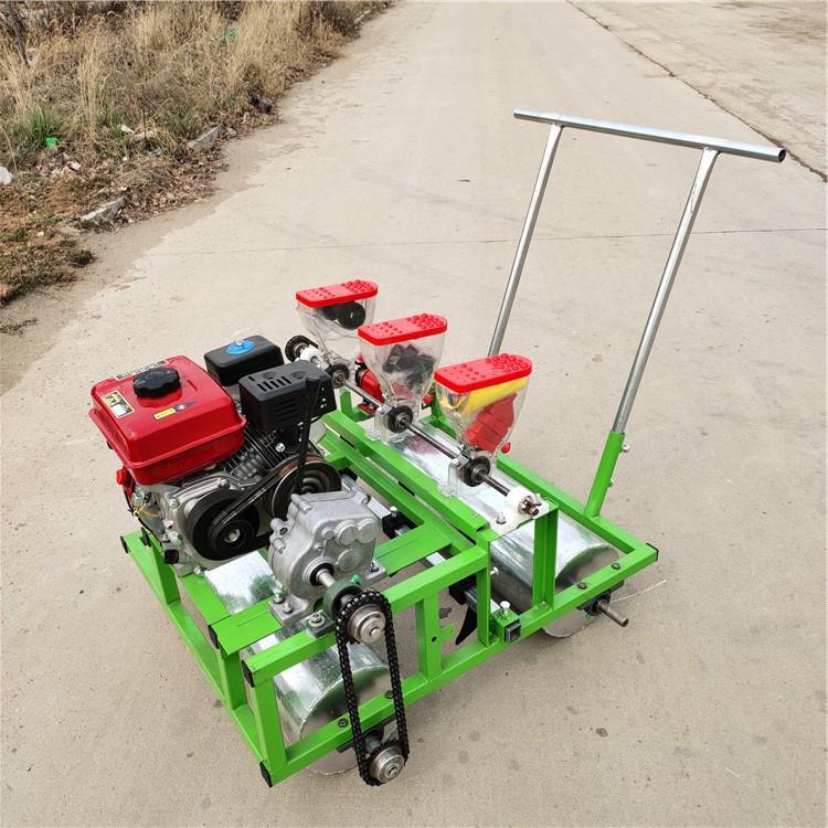 手推式蔬菜精播机 芹菜上海青白菜萝卜播种机 上海青小油菜精播机