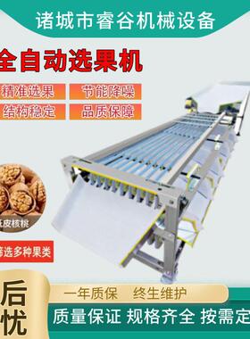 小型轨道式分选机柠檬猕猴桃分级设备果蔬市场水果分级设备