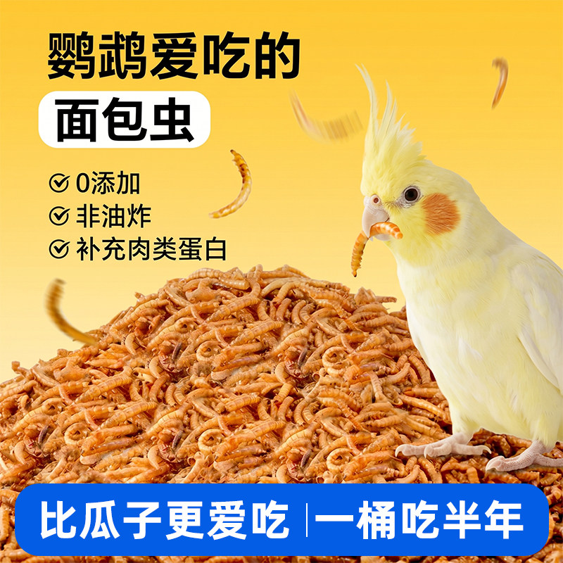 鹦鹉面包虫干奖励零食吃的虫子虎