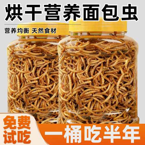 抢！一桶吃半年小乌龟饲料面包虫