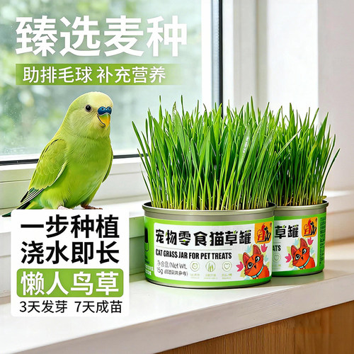 鹦鹉麦芽草粮鹦鹉啃咬饲料鸟草大