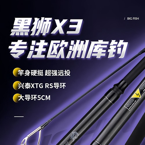 黑狮X3 URTRA2节旅行款欧鲤钓竿并继远投竿鲤钓竿carp竿