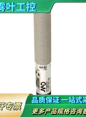 C18P/C0-2E 意大利DATASENSING墨迪MD【议价】