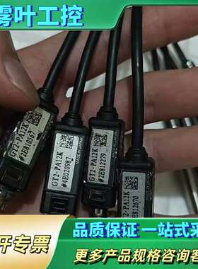 GT2-PA12K传感器，日本，实物拍摄。型号【议价】