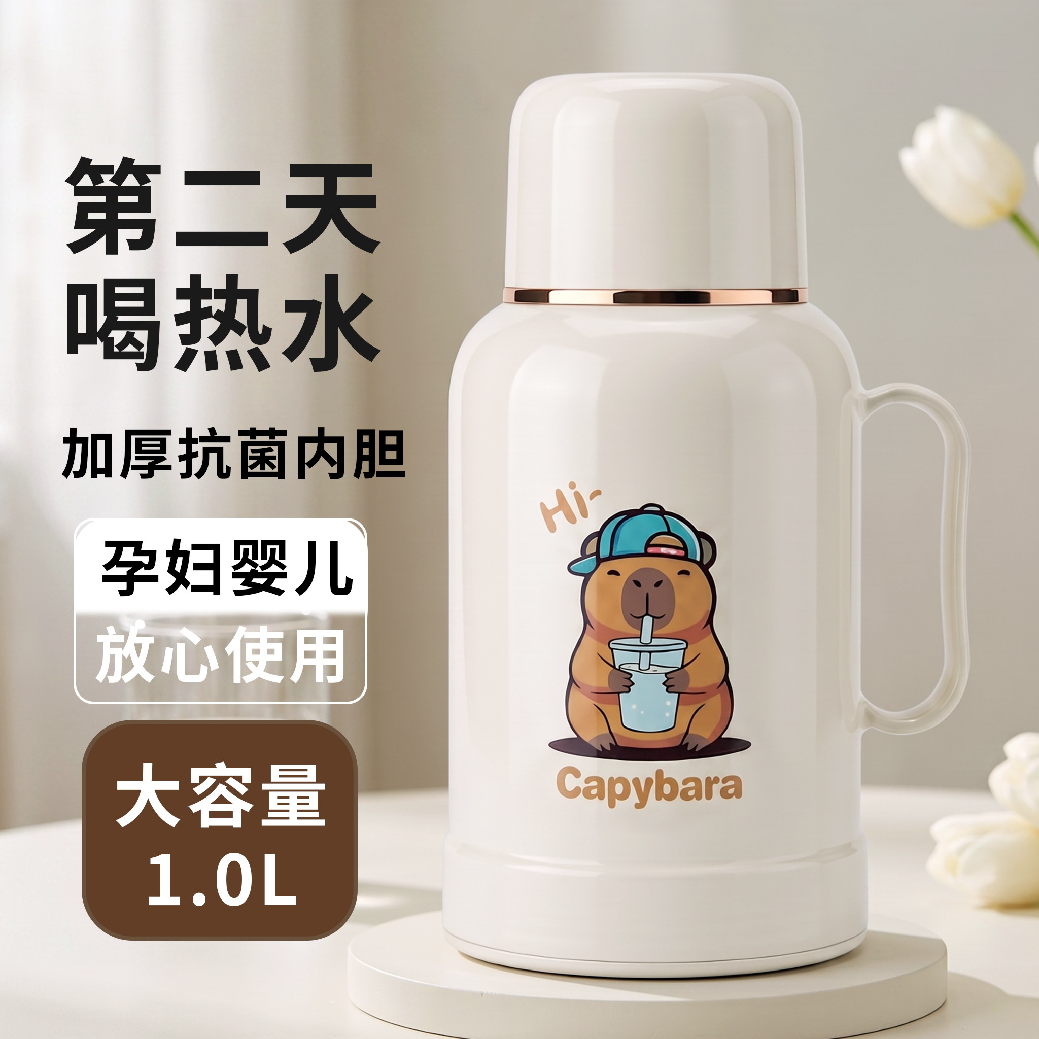 保温壶家用2026新款保温小热水瓶玻璃内胆保暖壶暖水壶办公室暖瓶图片