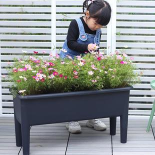 阳台种菜专用花盆种植箱家用蔬菜香菜葱种长方形楼顶家庭种植神器