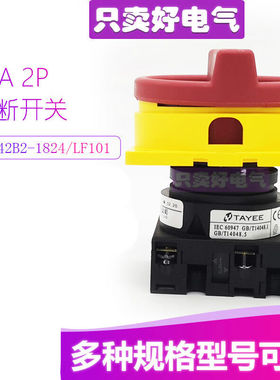 凸轮通断开关LW42B2-1824/LF101253263100-1016深灰色LW42B2-1824