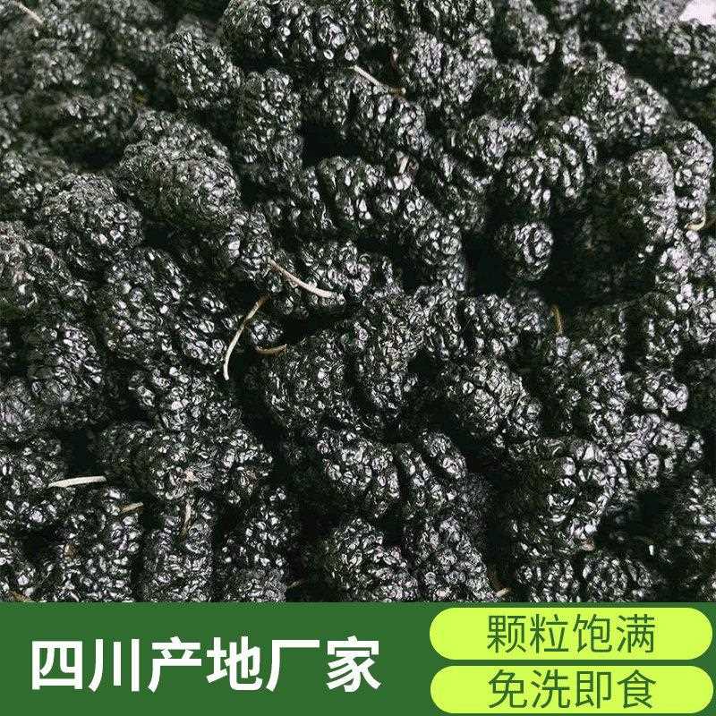 B级25年新货桑葚干食用四川黑桑椹干子果茶散装黑桑葚桑椹子