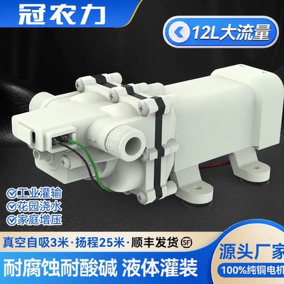 冠农力小型新款家用抽水泵抽水机自吸直流抽水泵自动水泵压力开关