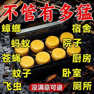 宁尔蟑螂药家用杀蟑饵剂全窝端大小蟑螂厨房卧室蟑螂诱饵方便贴盒