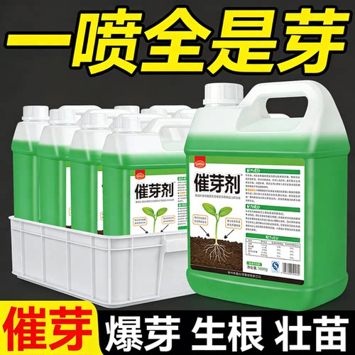 老桩催芽剂花卉营养液促芽僵苗快速发新芽防黄叶生根催芽绿植通用