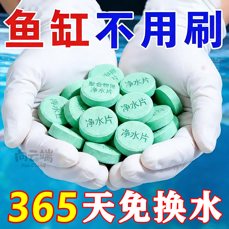 鱼缸高分子聚合物高级净水片净化水质打造空气缸分解鱼粪常备用品,宠物/宠物食品及用品,龟缸,淘宝优惠券,粉丝福利购,淘宝优惠卷
