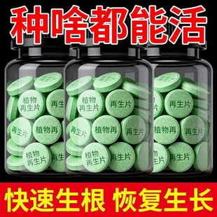 植物再生片绿植通用防虫片盆栽家庭园艺浓缩营养片花卉园艺肥料