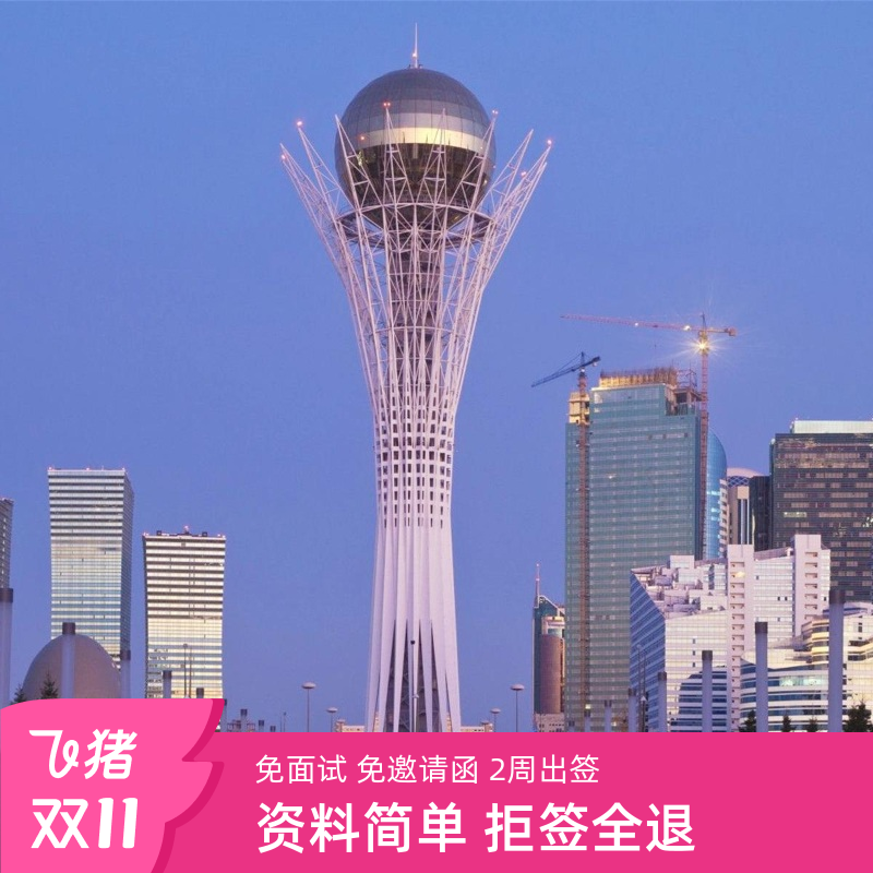 电子签证、拒签退全款 全国办理、男女均办理 简化套餐、出签更快速