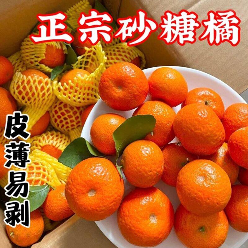 广西正宗砂糖橘5斤整箱包邮新鲜水果当季砂糖桔蜜橘桔子时令水果