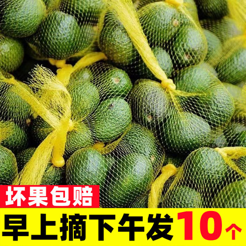云南哈斯牛油果新鲜水果国产熟透即食一级鳄梨整箱应当季10个小果