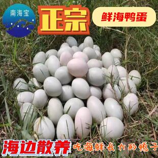 广西北海正宗农家散养新鲜鸭蛋红树林新鲜红心鸭蛋正宗海鸭蛋批发