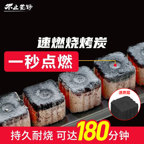 不止野外果木炭小包装商用速燃碳