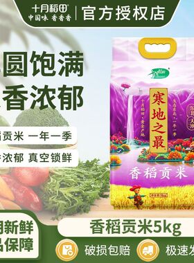 2025新米】十月稻田寒地之最香稻贡米东北大米10斤大包装官方授权