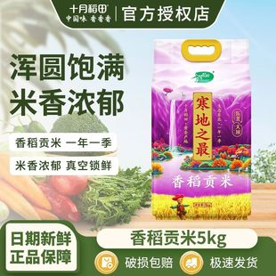 2025新米】十月稻田寒地之最香稻贡米东北大米10斤大包装官方授权
