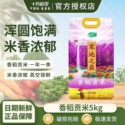 2025新米】十月稻田寒地之最香稻贡米东北大米10斤大包装官方授权