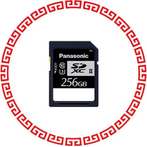 RP-SDXE25DA1 MEM CARD SDXC 256GB CLS10 MLC