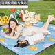 冠贸裴野餐垫加厚户外草地垫子露营垫防潮垫春游草坪地垫防水爬行