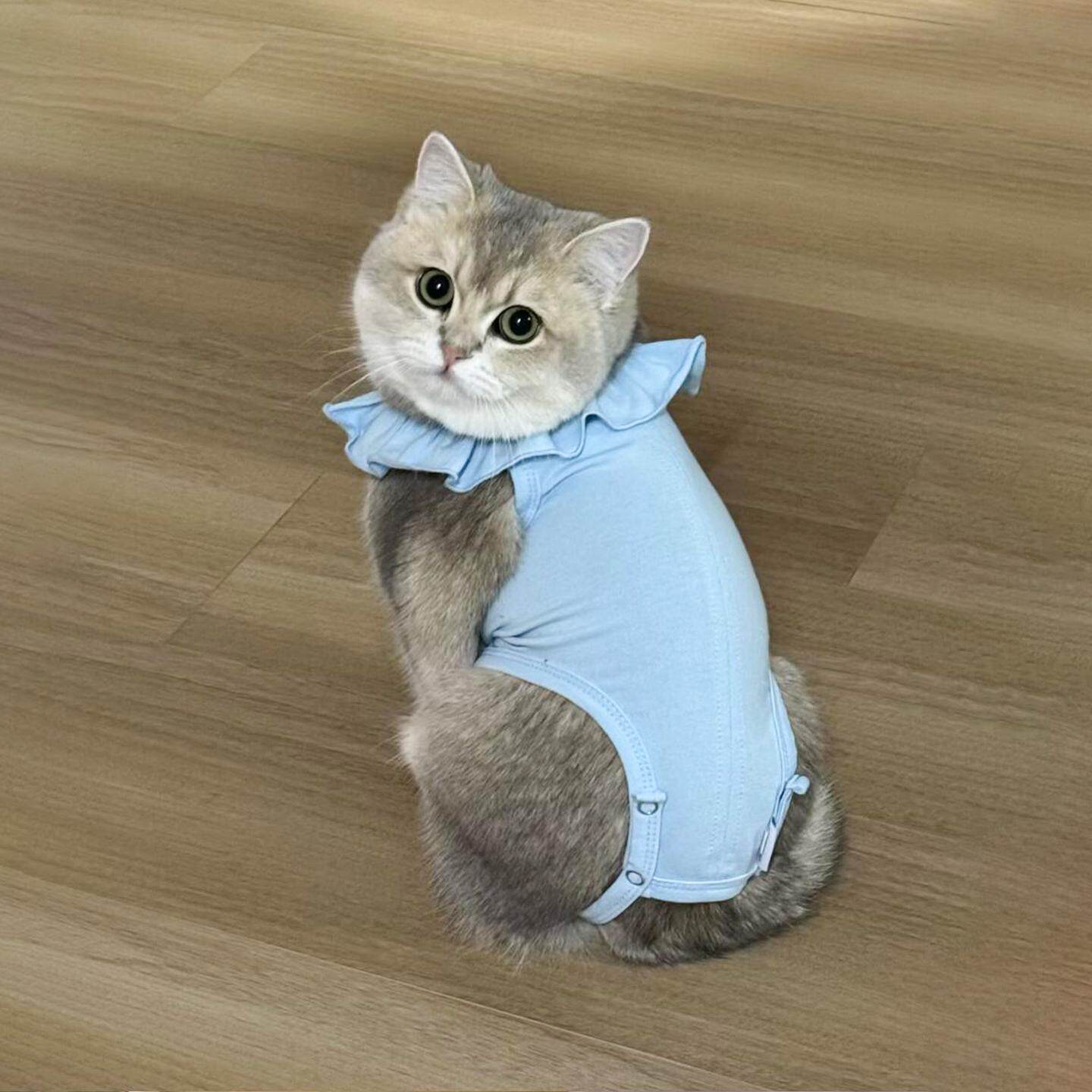 猫咪绝育服母猫公猫术后服防挣脱防舔护理服薄款纯棉宠物生理裤
