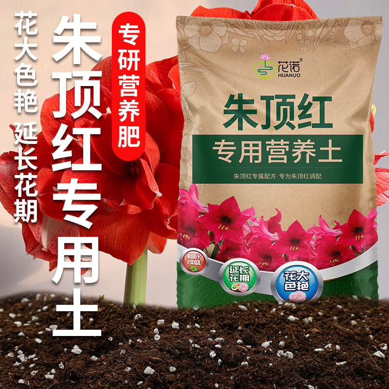 速发种朱顶红土营养种球根种球土花土壤肥料泥土土植土