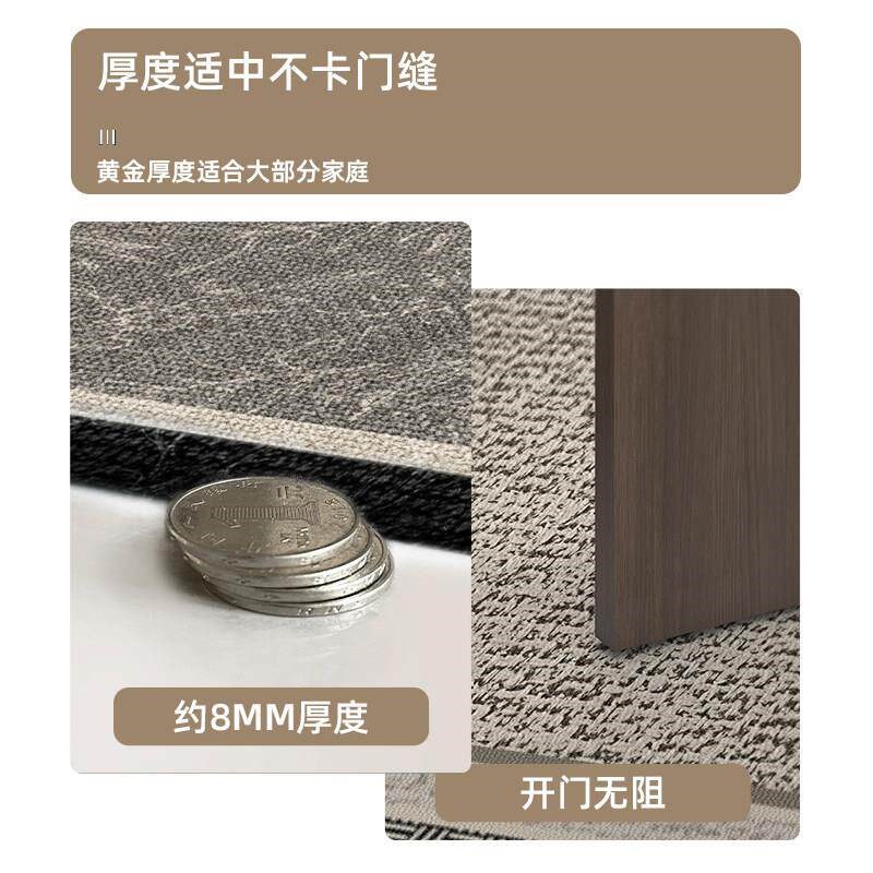速发入户门口地垫现代轻奢地毯2025新款耐脏免洗玄关脚垫子可裁剪