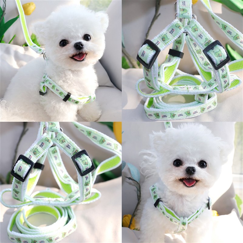 速发小型犬泰心遛狗绳背迪式拴狗绳狗链用博美子品
