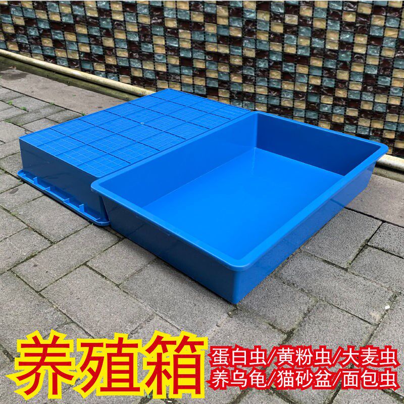 速发饲养盒蛋白虫养殖箱大麦虫黄长虫养殖塑料周转箱粉方形方盘浅