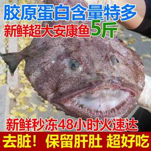 安康鱼5斤新鲜深海大嘴鱼蛤蟆鱼鱼肝鱼肚无刺鱼海鲜水产
