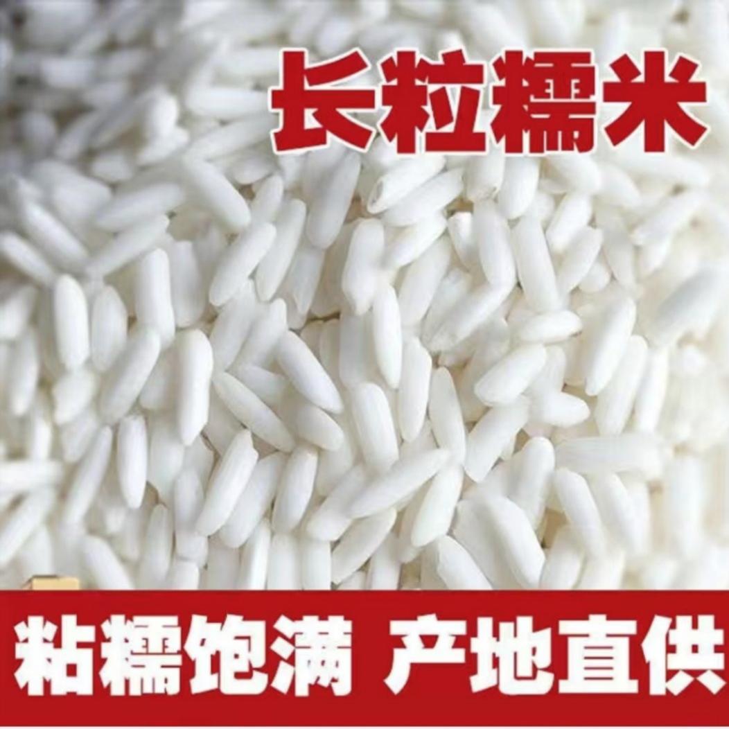 2024年湖北孝感珍珠糯米新糯米长粒江米包粽子做米酒糍粑5斤10斤