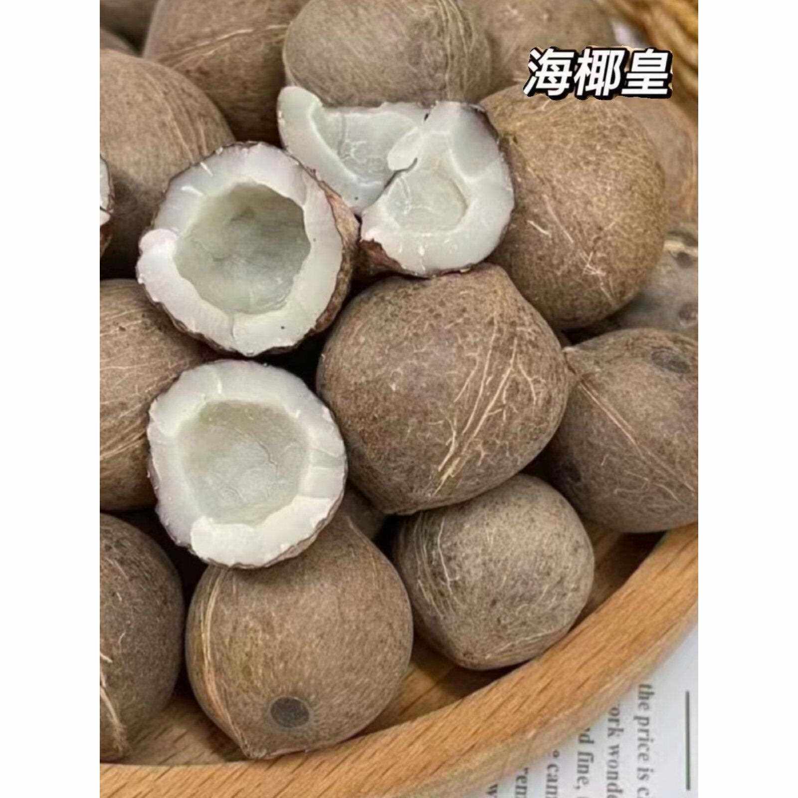 海皇椰迷你小椰子 养生食材海椰王新鲜椰肉干 煲汤料炖甜品营养好
