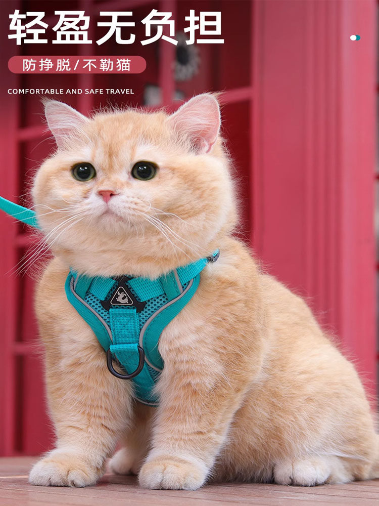 猫咪牵引绳防挣脱可调式背心式宠物透气胸背带缅因猫绳子家用栓猫