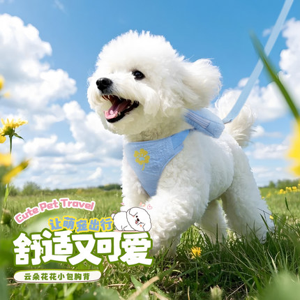可爱狗狗牵引绳背心式书包狗胸背小型犬比熊泰迪雪纳瑞宠物胸背带