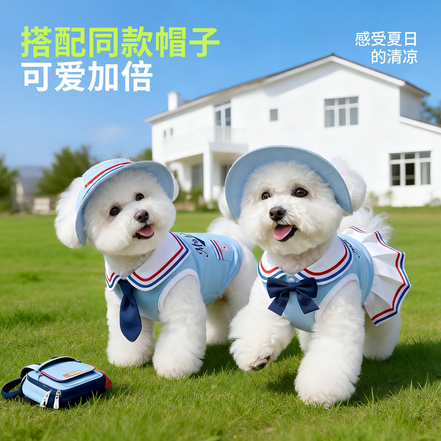 比熊夫人狗狗衣服防晒凉凉衣夏季背心裙子比熊专用小型犬宠物衣服