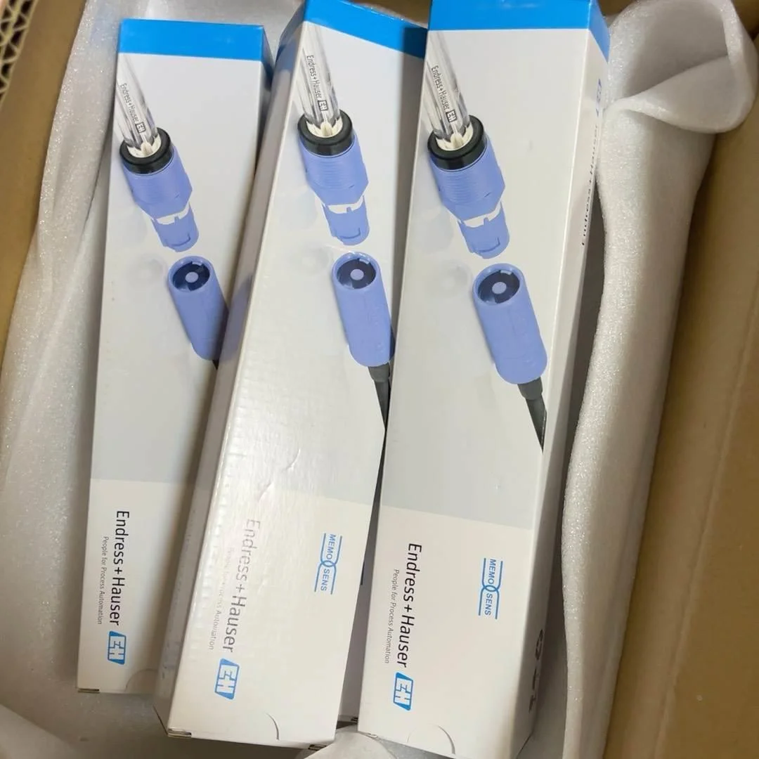 非标价今年2024年全新e+h电极恩德斯豪斯型号CPS11D-7B议价