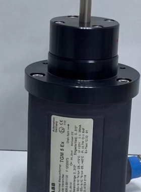 非标价ABB TGM-5-EX, P-14436-0-581113议价