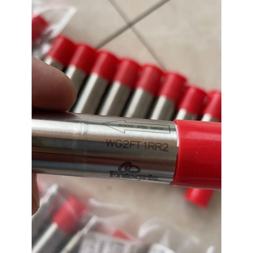 非标价美国entegris英特格过滤器WG2FT1RR2 ，全新库议价