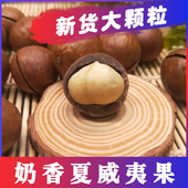 大颗粒夏威夷果500g 袋坚果炒货休闲零食