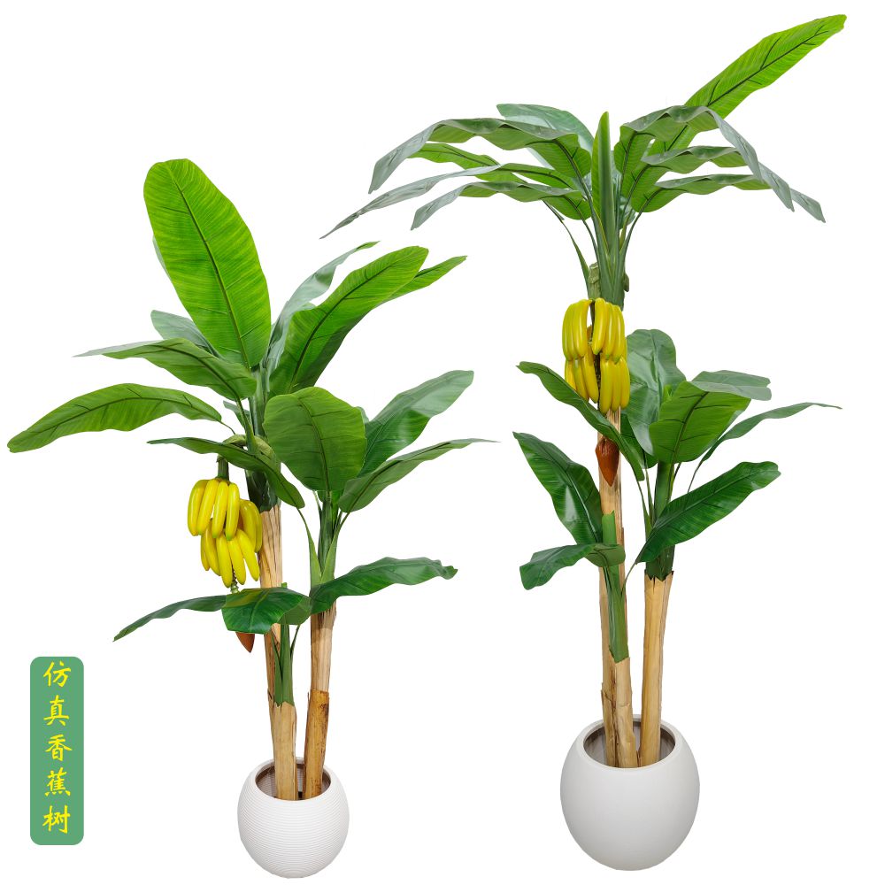 仿真芭蕉树香蕉树热带盆栽绿植