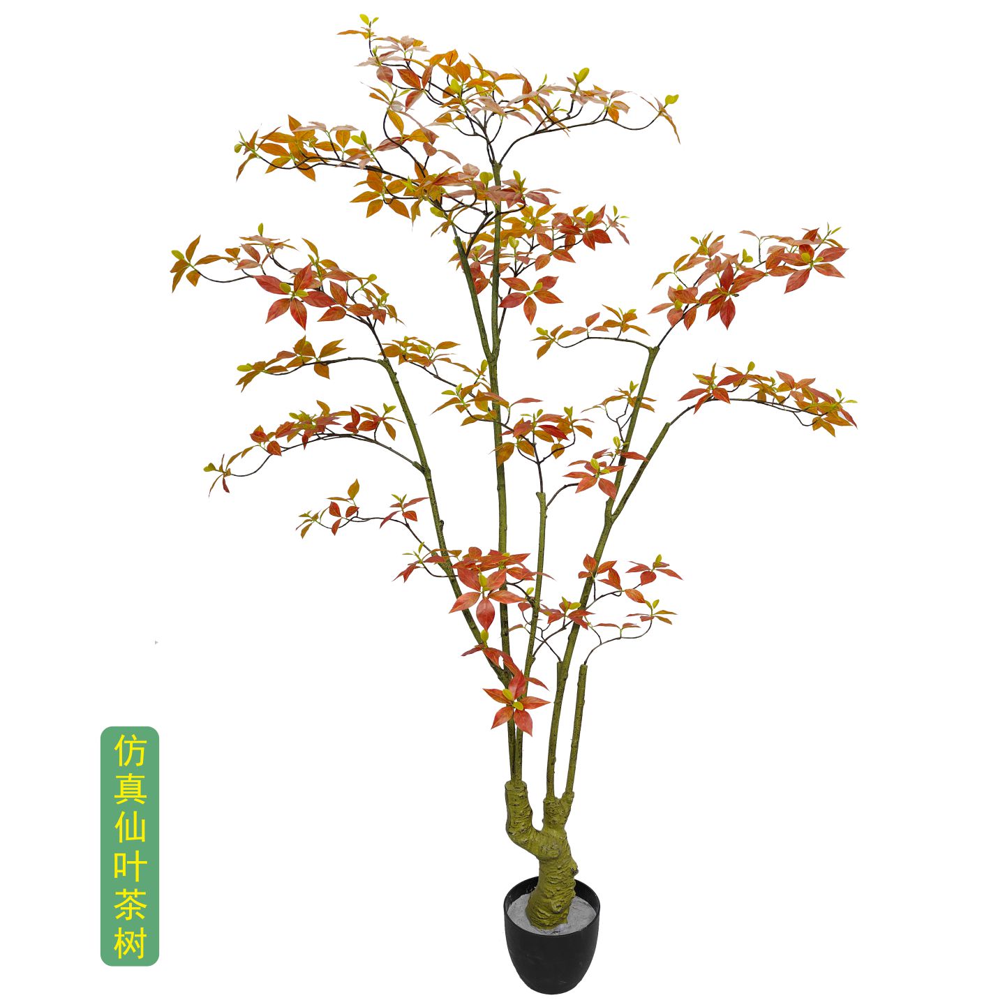 仿真海岛春花盆栽羽翼枫迎春花室仿真绿植